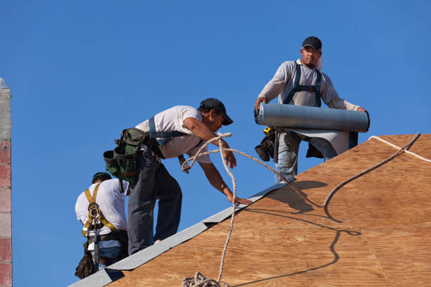 Best Local Roofing Companies  in Ellinwood, KS